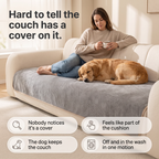 The Everyday Sofa Cover