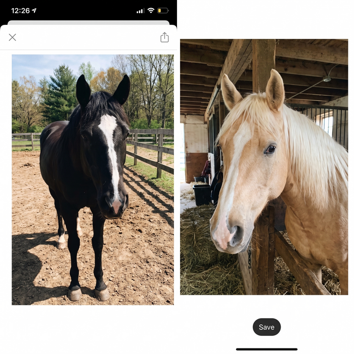Her photo